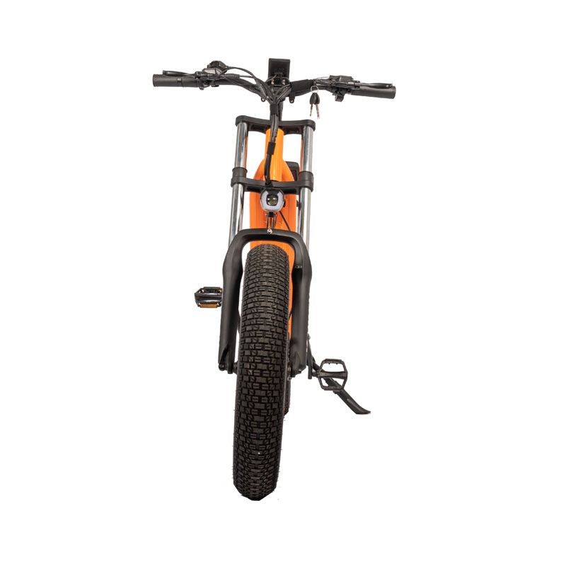 Rear Hub Motor 750w High Speed Dirt Bike Off-Road Electric Fat Tire Bike Electric Cruiser Bikes