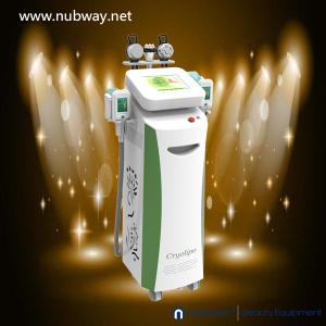 Wholesale Super fast amazing result cryolipolysis freezing fat equipment to lose weight from china suppliers