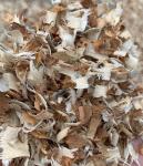 Hard Wood Shaver Machine For Animal Bedding, Burning Fuel Wood Shavings Machine