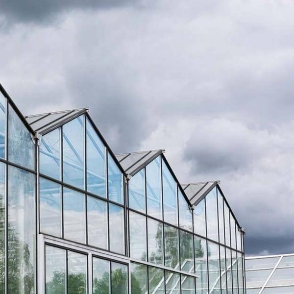 Automatic Control Intelligent Agricultural Glass Greenhouse For Sale Farm