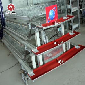 Wholesale A Type 3 Tiers Battery Layer Chicken Cage With Feeding Machine from china suppliers