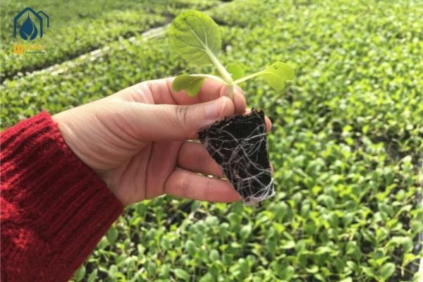 Agriculture Metal Mesh Nursery Rolling Benches Movable Greenhouse Cultivation