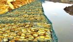 Pvc Coated Galvanized 2m Gabion Basket Woven