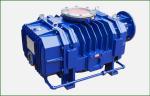 20KPa High Efficiency Roots Blower Pump 300L/S Suction Capacity 1450 Rpm