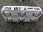 RikoLite 300W Full Spectrum LED Grow Light COB with UV for Indoor Farming Plants