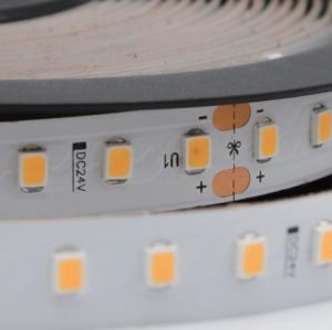 Wholesale Constant Current 10mm LED Strip Tape Light SMD2835 DC24V RA90 6500K from china suppliers