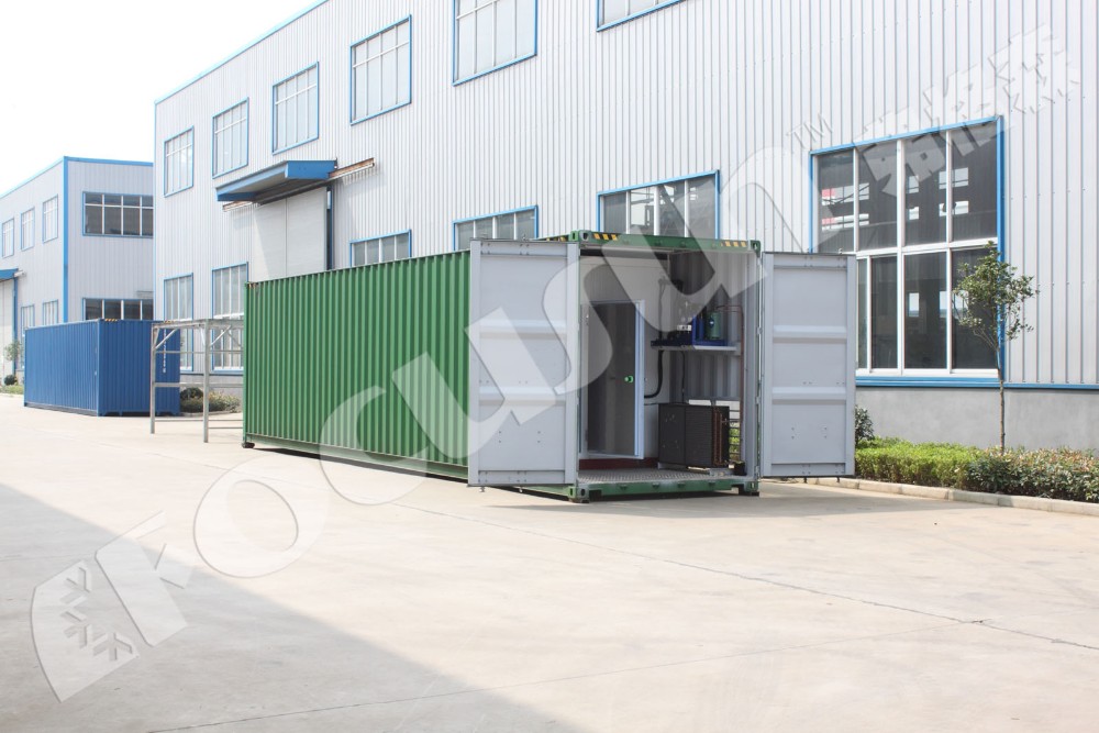 1T 2T 3T 5T 10T 15T 18T Containerized Block Ice Plant With Imported Compressor