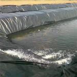Anti-UV HDPE Geomembrane Liner 45 mil 60 mil Plastic Liner for Fish Pond Width