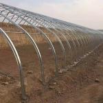Single Span Tunnel Solar Greenhouses With Double Wall And Insulating Blanket