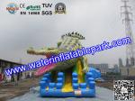 Commercial Crocodile Inflatable Slide , Inflatable Water Slide For Rental