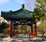 Arbours Prefab Chinese Style Pavilion 2.6m Garden Pavilion Wooden Gazebo