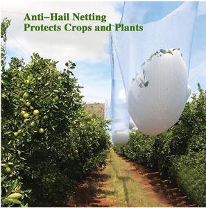 Wholesale Agricultural HDPE White Anti Hail Net , UV Stabilized Fruit Tree Netting from china suppliers