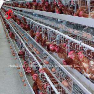 China 4 Tiers High Hardness Layer Chicken Battery Cages Metal Wire With Water Tank Rose on sale