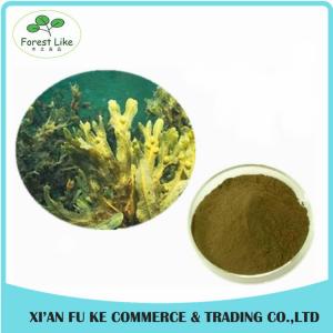 Wholesale High Quanlity Fucus Vesiculosus Extract Powder from china suppliers