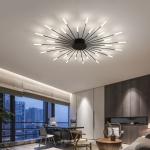 Fireworks LED Chandelier For Living Room Bedroom Home Modern Ceiling Lamp