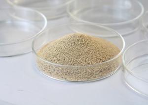 Wholesale Betelnut Specialized Enzyme： degrade the bitter and astringent substances from china suppliers