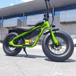 Electric Dirt Bike with Down Tube Battery Position 48 13AH Small Size Fat Tire