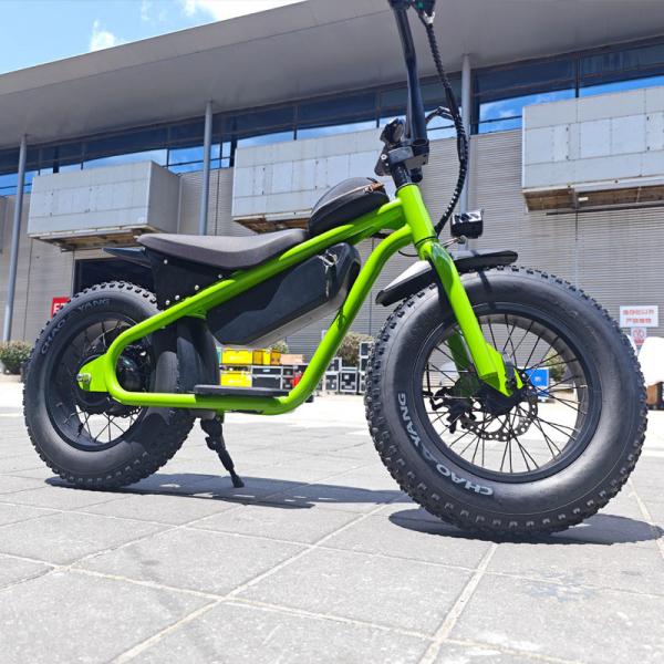 Electric Dirt Bike with Down Tube Battery Position 48 13AH Small Size Fat Tire