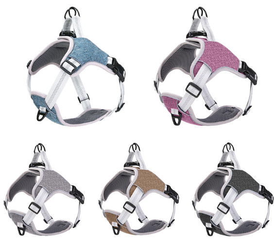 best harness for large cats