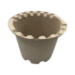 Sugarcane Bagasse Paper Molded Recycled Box Insert Trays Mold Pulp Packaging