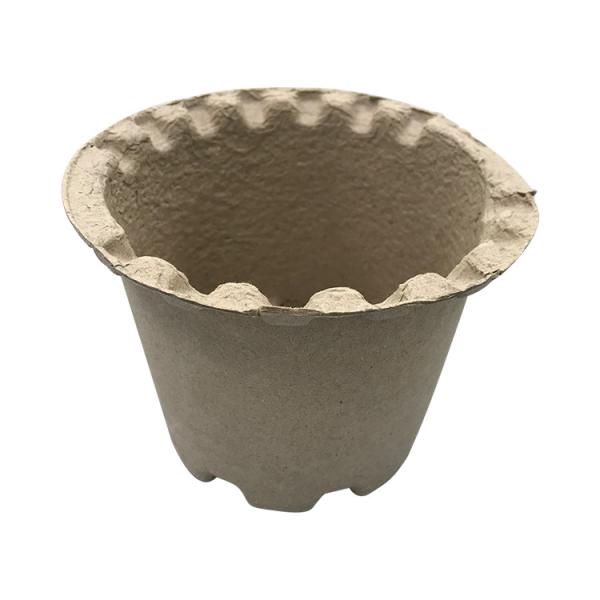 Sugarcane Bagasse Paper Molded Recycled Box Insert Trays Mold Pulp Packaging