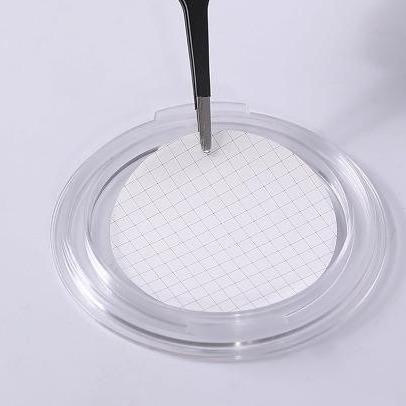 Quality 0.45um 37mm Mixed Cellulose Ester MCE Gridded Membrane Filter Sterile For Microbial Limit Test for sale