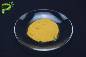 Wholesale No Mildew Natural Fruit Powder 8.0% Ash 80 Mesh Ginger Tea Powder from china suppliers