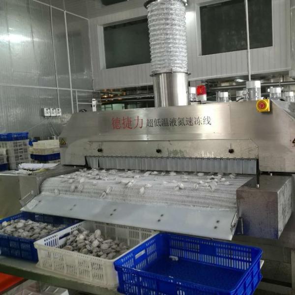 Meatfish Seafood Blast Chiller Shock Mesh Belt Tunnel Freezer Iqf 2200kg/H