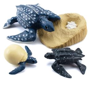 Wholesale 4 PCS Ocean Sea Marine Animal Model Figures Life Cycle Turtle Leatherback Figure from china suppliers