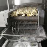 Frozen Pear in Halves(1/2), blanched, peeled and pitted