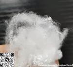 1 White Polyester Staple Fiber With Crimp For Business