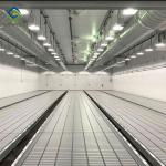 9.6m Automated Commercial Blackout Greenhouse ​For Mushroom