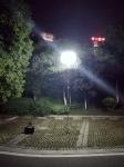Night Work Safety Sphere Balloon Industrial Led Emergency Lights 16000LM