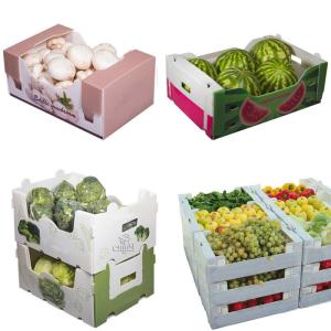 Wholesale Corn Corflute Box Vegetable Corrugated Boxes Recyclable Custom Size from china suppliers