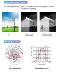 Solar Panel Solar Powered LED Street Lights for Outdoor Lighting