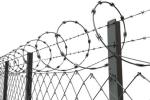 Single Coil Razor Barbed Wire Hot Dipped Galvanized Barbed Fence