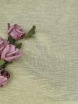 Eco Friendly Recycled Lace Mesh Lyocell Stretch Fabric