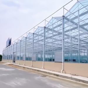 Wholesale Large Glass Greenhouse Oasis Eco-Friendly Solution for Plant Cultivation Solutions from china suppliers