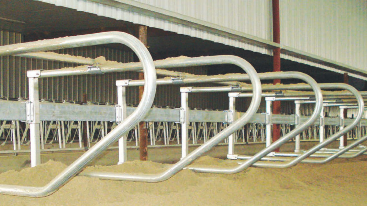 Customized Livestock Equipment for Dairy Cattle Sheep Horse Poultry and Fowl Farming