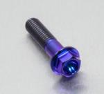 Steel Anti Loose Titanium Flange Screw Bolt External Hex Drive With Hat Ring