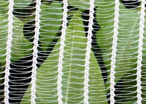 Wholesale Static Knitted Vegetable Garden Netting , 30gsm - 100gsm Hail Protection Net from china suppliers