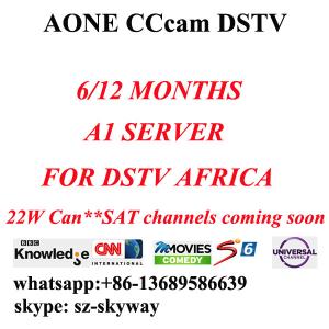China 6 month/One year A1 cccam account Aone account A-one All in one account for dstv on sale