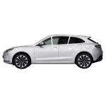 LED Light Type and 40kWh Battery Capacity Interboundary Electric Vehicle with