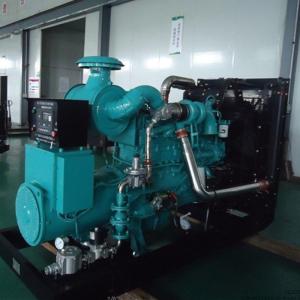 Wholesale Electricity LNG CNG 250kw natural gas generator genset power Synchronous grid water cooling from china suppliers