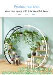 Metal Plant Stand Creative Half Moon Shape Ladder Flower Pot Stand Rack for Home