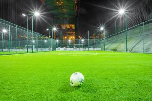 Wholesale PVC Eco Friendly 25mm Artificial Lawn Grass High Carbon PE from china suppliers
