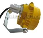 WF2 Waterproof Yellow Gas Station 20W LED Canopy Light 220V 240V AC With ATEX CE