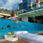 Clear Glass Wall Above Ground Pool with Acrylic Plexi and PMMA Acrylic Swimming