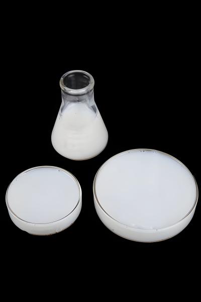 Professional Grade Styrene Acrylic Emulsion Quick Cure & Low Odor Water