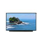 17.3 Inch 1920*1080 Industrial LCD Display Panel FHD Panel Mount Lcd